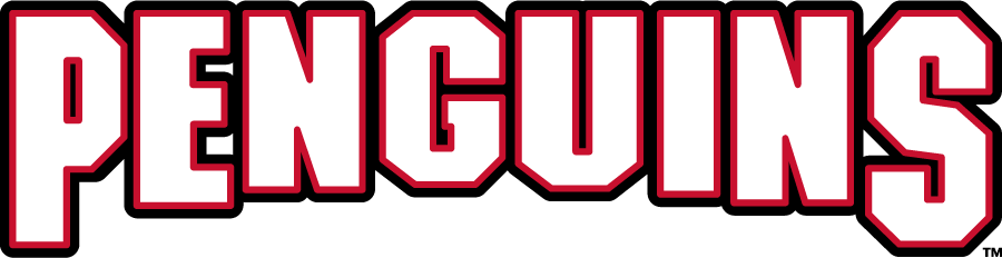 Youngstown State Penguins 2018-Pres Wordmark Logo v2 diy iron on heat transfer